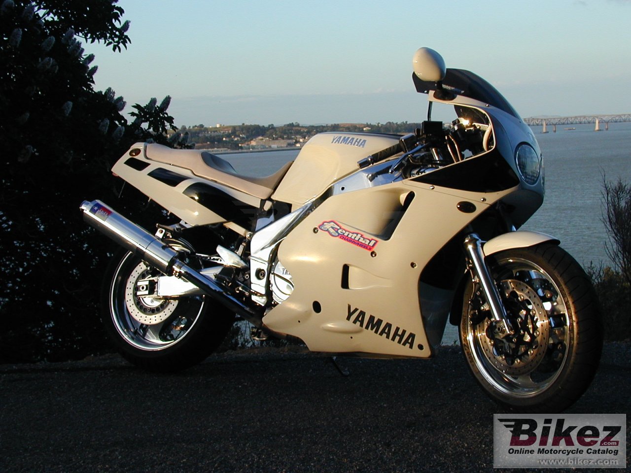 Big FZR-FAN MDH fzr 1000 picture and wallpaper from Bikez.com